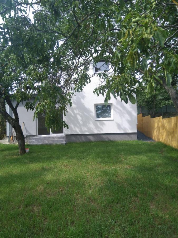 Dum V Brne Apartment Brno Exterior foto