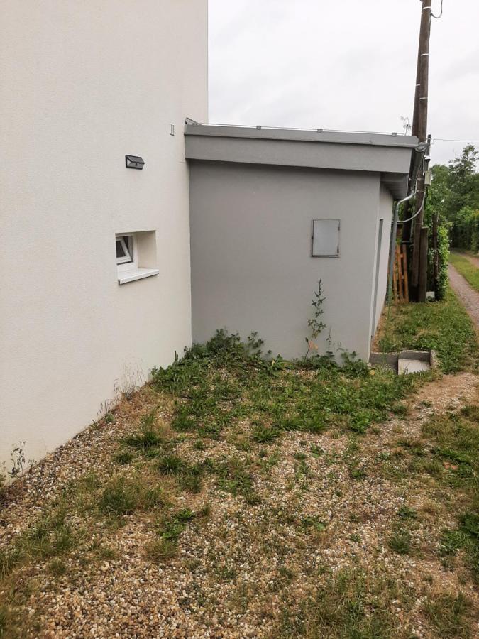 Dum V Brne Apartment Brno Exterior foto